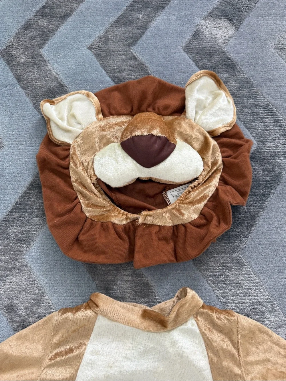 Baby Lion Two-Piece Costume